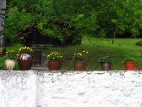 IMG_6815.jpg, 31kB
